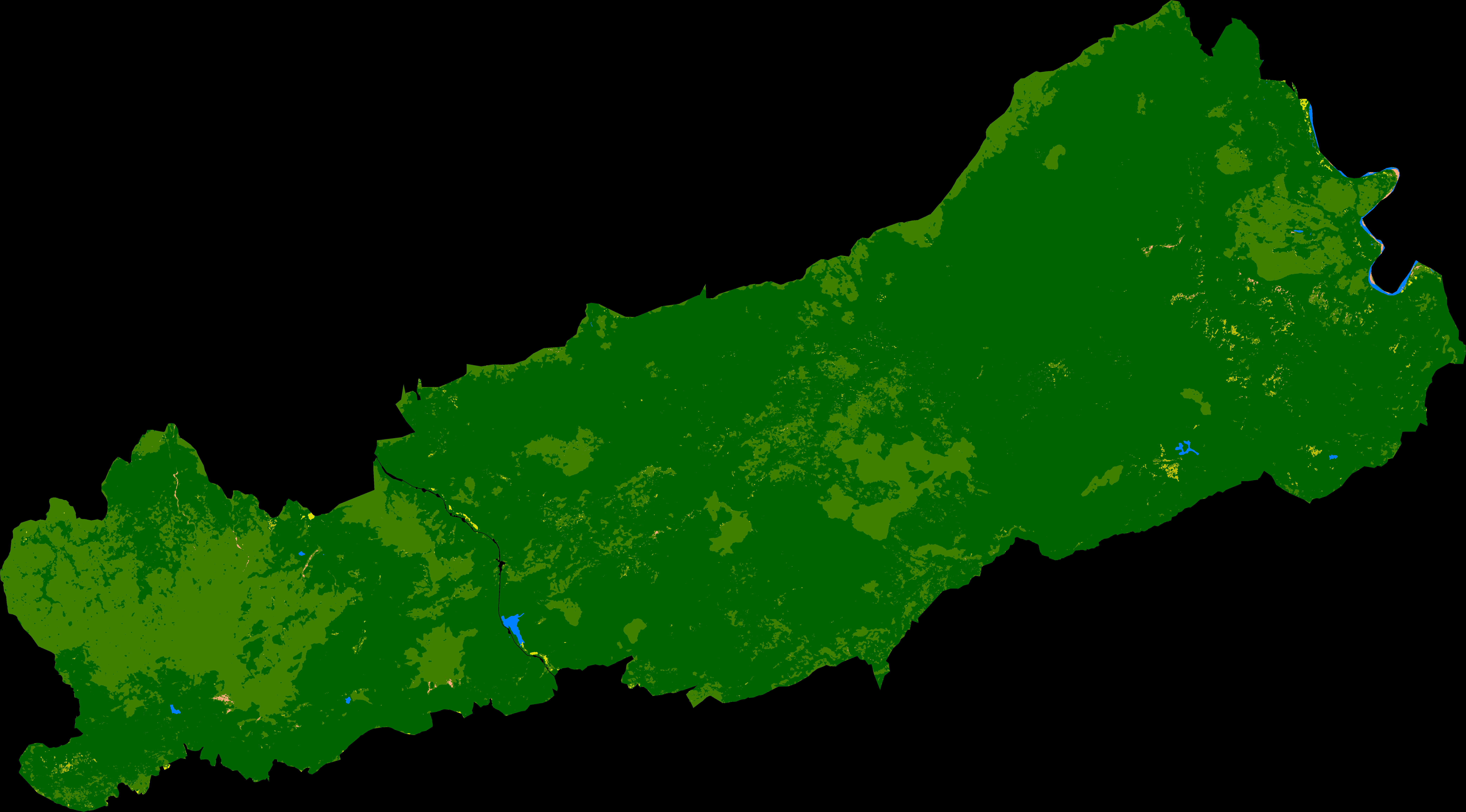 Ankarafantsika